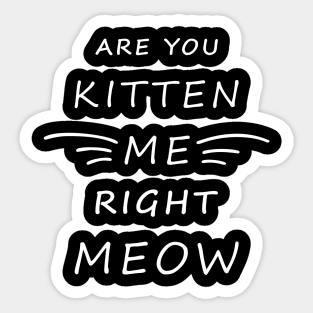 Are You Kitten Me Right Meow Sticker